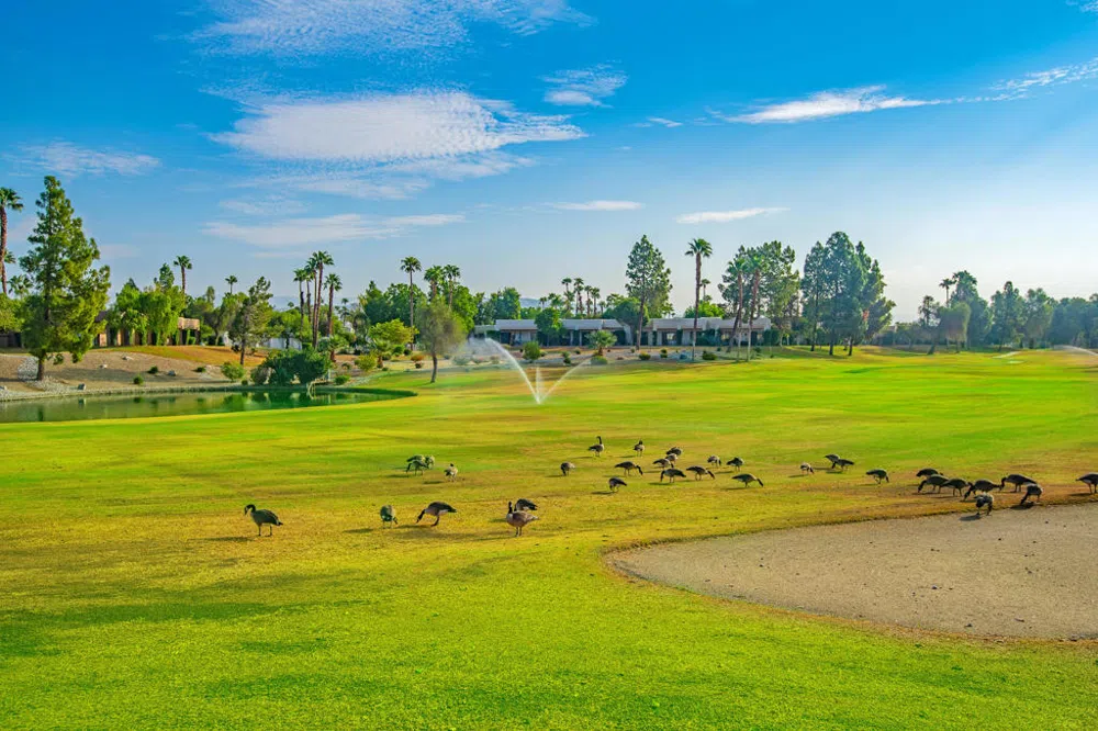 67330 W Chimayo Drive Cathedral City, CA 92234