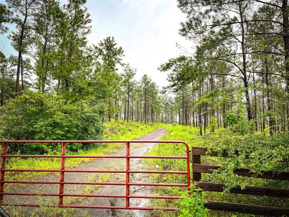 1 CR 257 Jasper, TX 75951