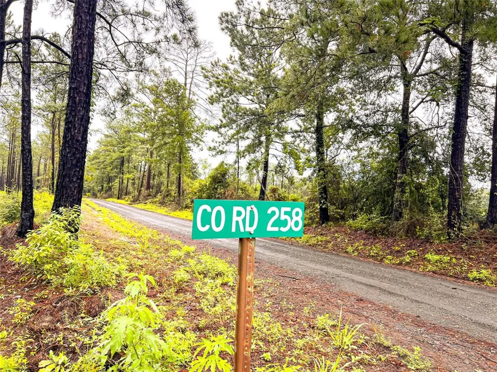 2 CR 258 Jasper, TX 75951