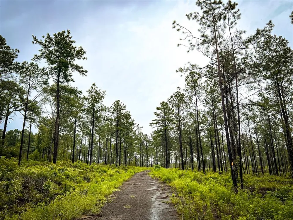 2 CR 258 Jasper, TX 75951