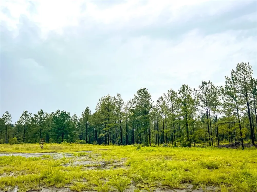 2 CR 258 Jasper, TX 75951
