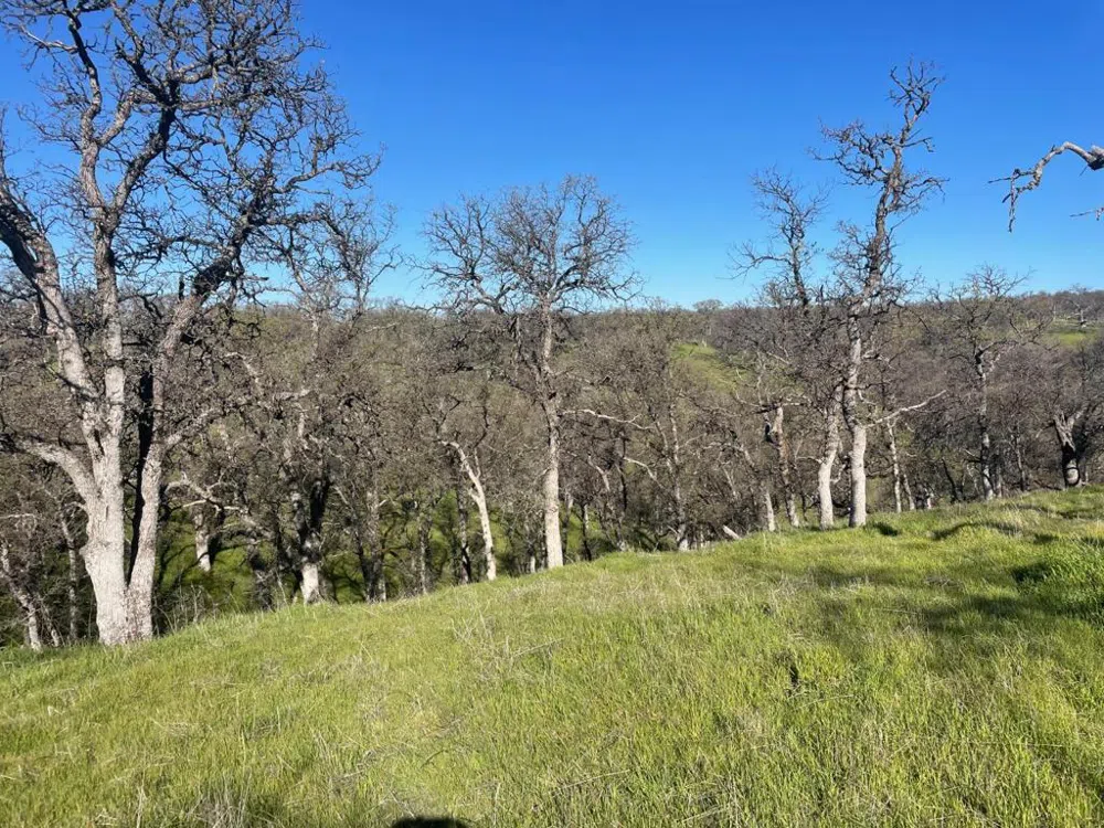 108 Lot 8 of Tract No.91-1002 Lane Red Bluff, CA 96080