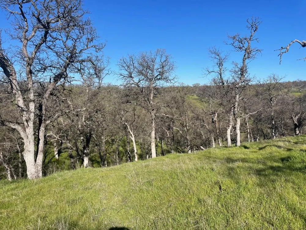 108 Lot 8 of Tract No.91-1002 Lane Red Bluff, CA 96080