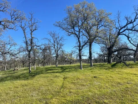 108 Lot 8 of Tract No.91-1002 Lane