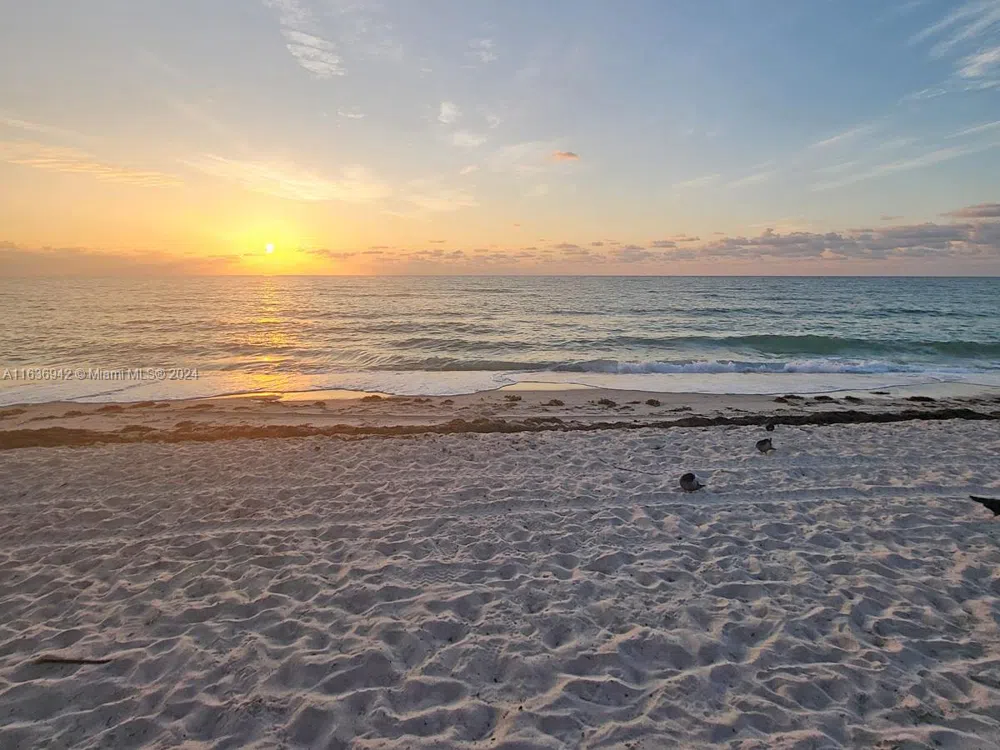 1825 S Ocean Dr #206 Hallandale Beach, FL 33009
