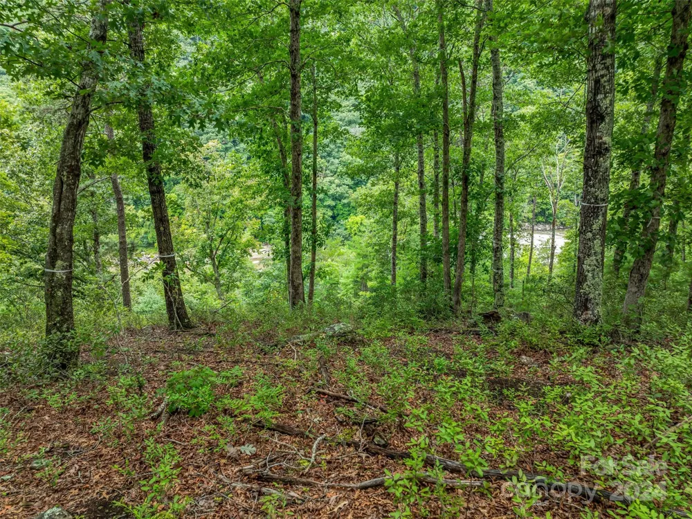 4155 French Broad Parkway Marshall, NC 28753