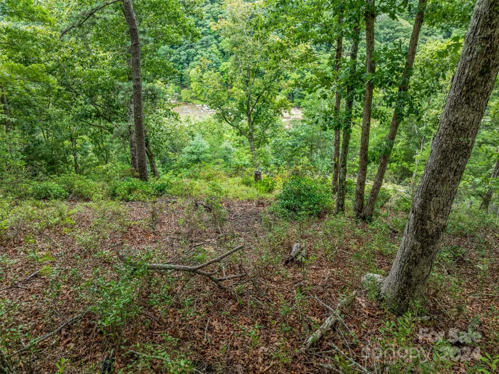 4155 French Broad Parkway Marshall, NC 28753