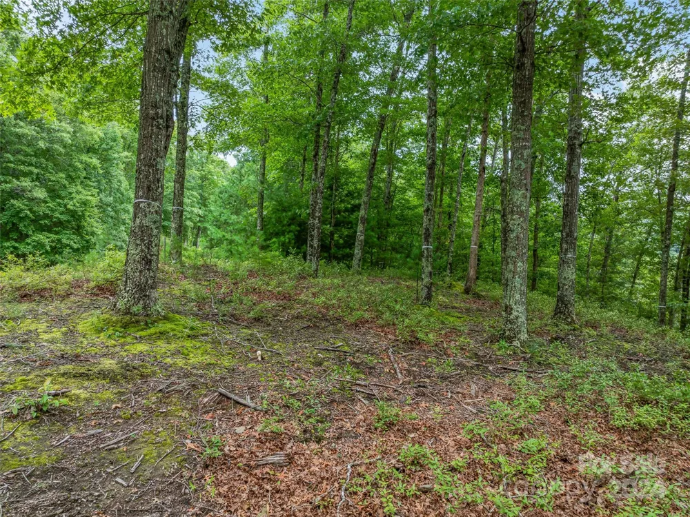 4155 French Broad Parkway Marshall, NC 28753