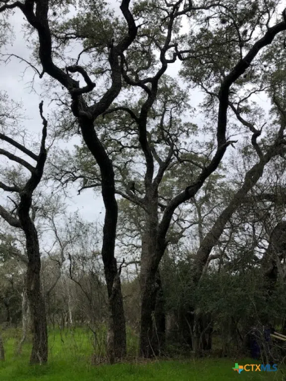 8205 Wegner Road New Braunfels, TX 78132