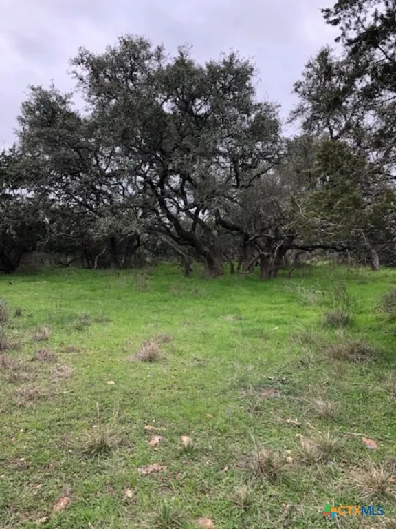 8205 Wegner Road New Braunfels, TX 78132