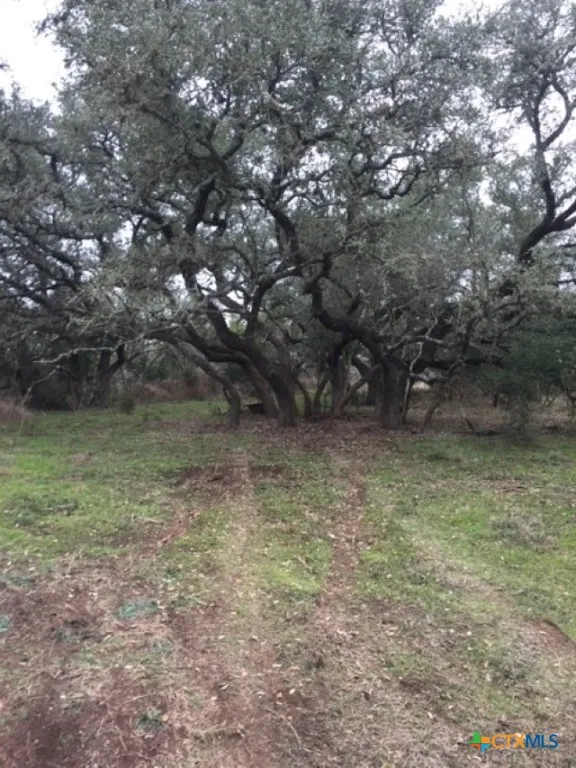 8205 Wegner Road New Braunfels, TX 78132