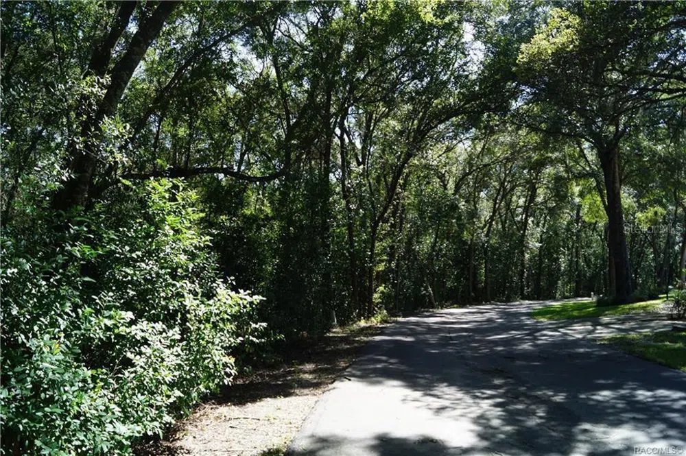 3505 WOODGATE DRIVE Beverly Hills, FL 34465