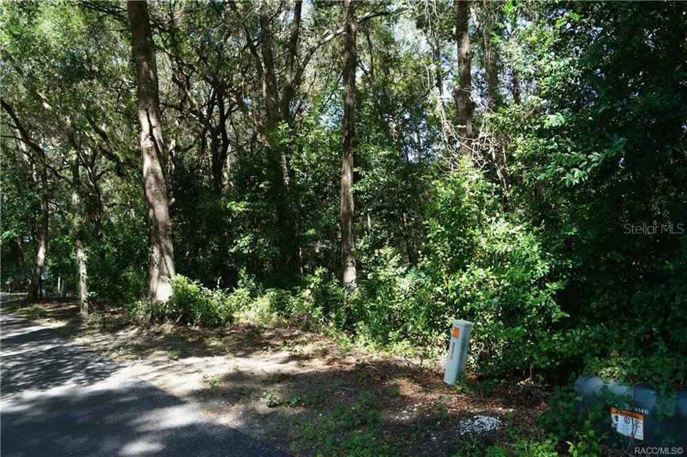 3505 WOODGATE DRIVE Beverly Hills, FL 34465
