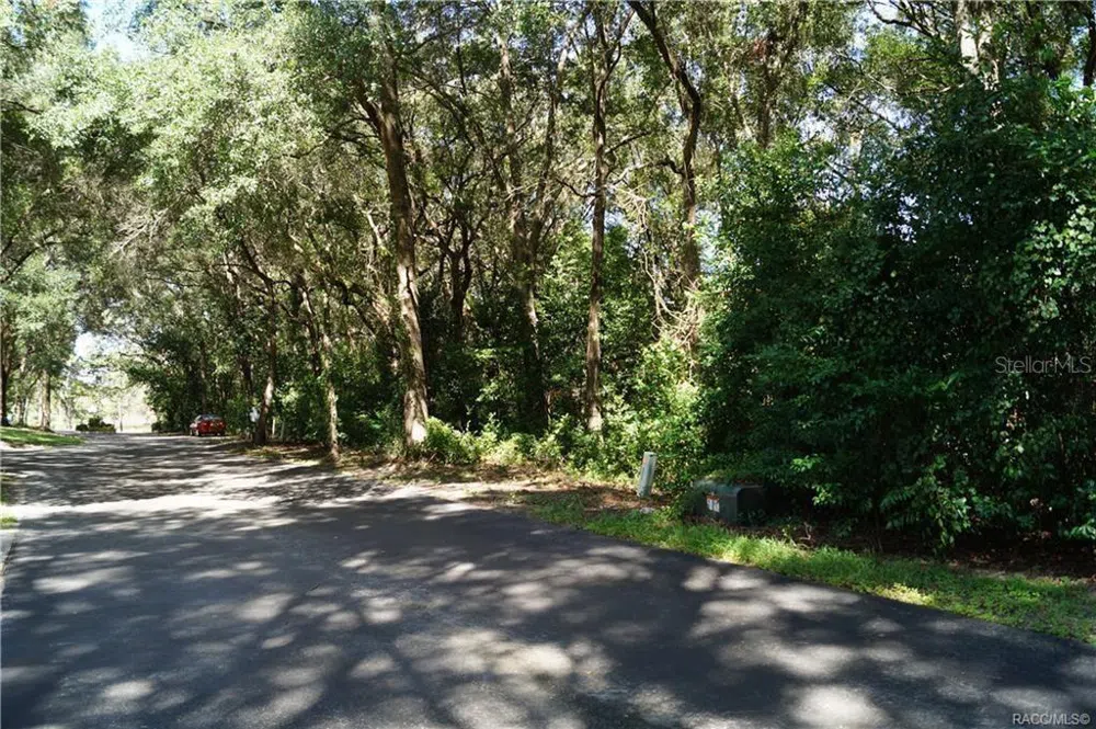3505 WOODGATE DRIVE Beverly Hills, FL 34465