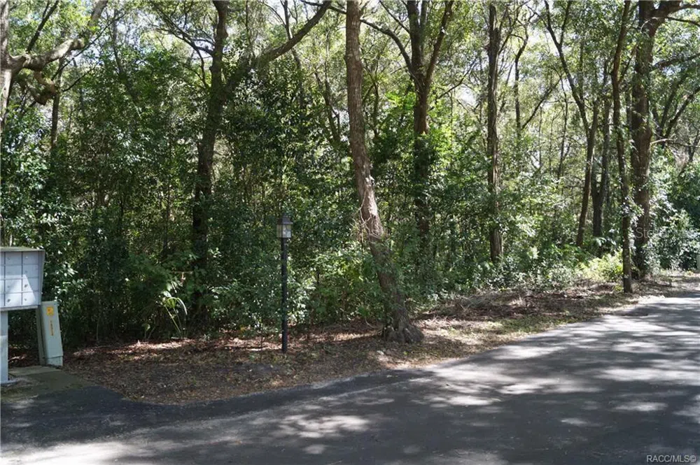 3505 WOODGATE DRIVE Beverly Hills, FL 34465