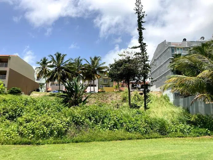 MonteSol 11 PALMANOVA #150 - 151 Humacao, PR 00791