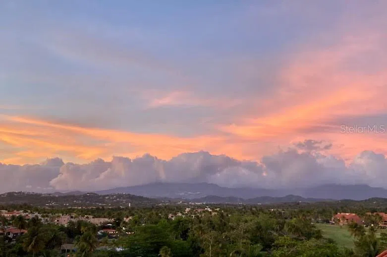 MonteSol 11 PALMANOVA #150 - 151 Humacao, PR 00791