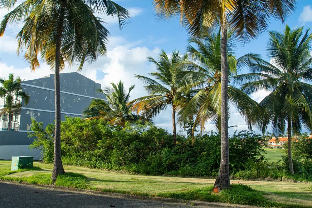 MonteSol 11 PALMANOVA #150 - 151 Humacao, PR 00791