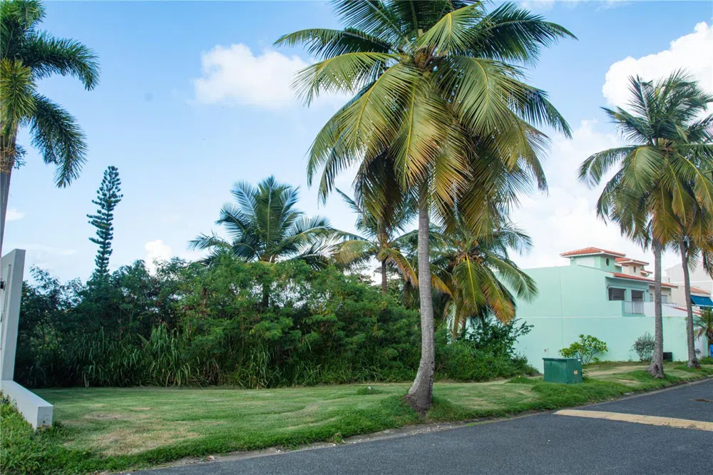 MonteSol 11 PALMANOVA #150 - 151 Humacao, PR 00791