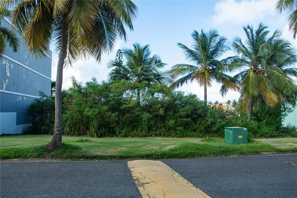 MonteSol 11 PALMANOVA #150 - 151 Humacao, PR 00791