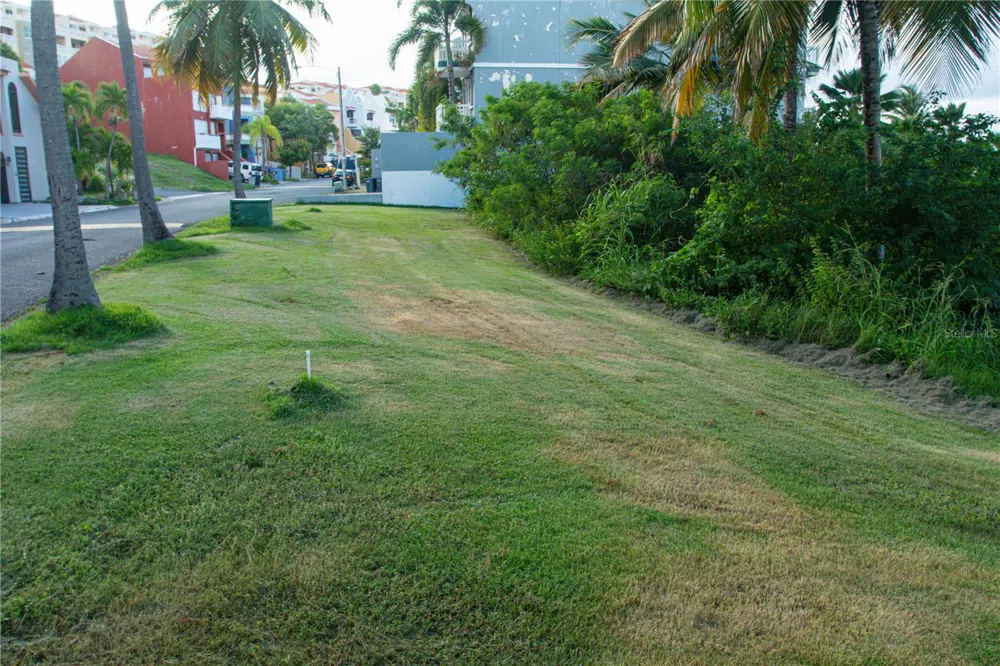 MonteSol 11 PALMANOVA #150 - 151 Humacao, PR 00791