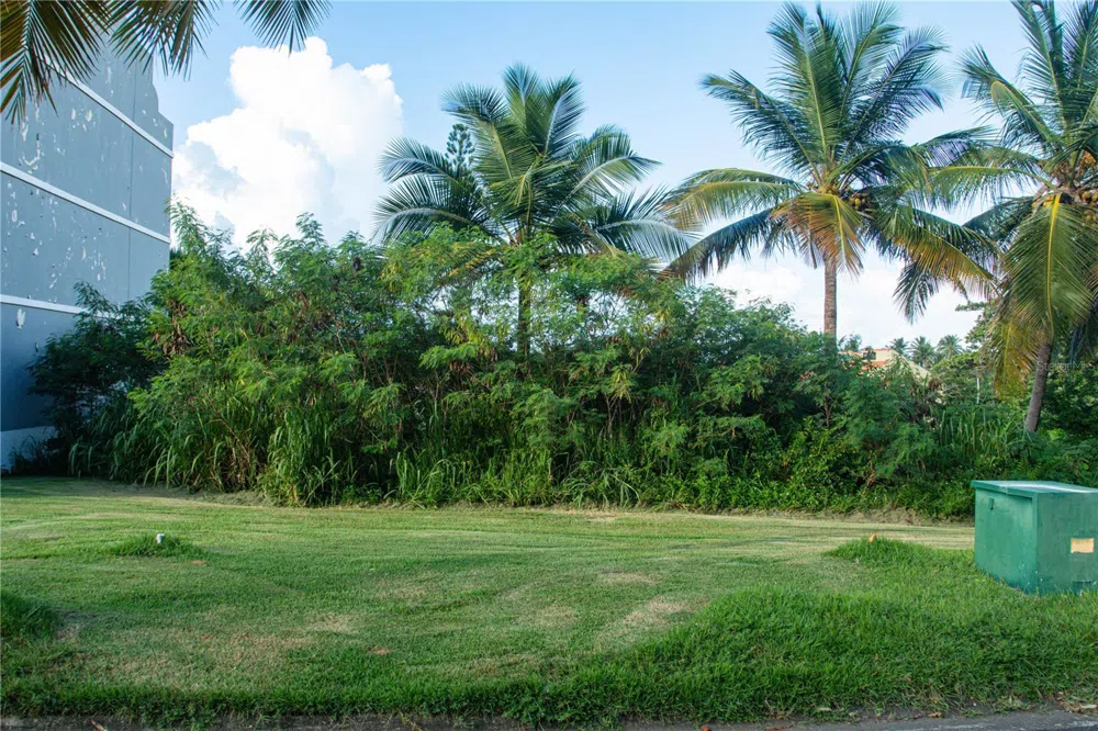 MonteSol 11 PALMANOVA #150 - 151 Humacao, PR 00791