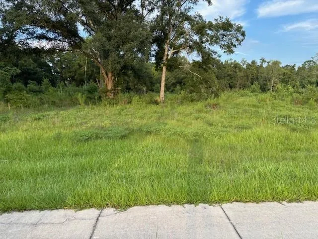 SW 4TH AVE. Chiefland, FL 32626