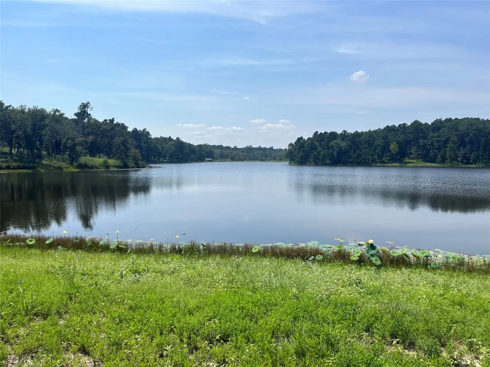 94 10.01 Acre TR 94 Centerville, TX 75833