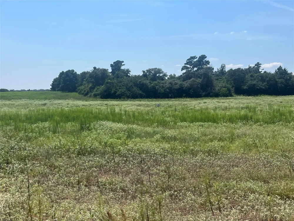 94 10.01 Acre TR 94 Centerville, TX 75833