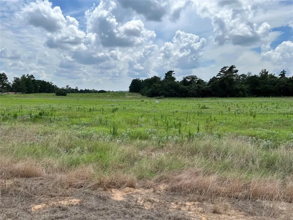 94 10.01 Acre TR 94 Centerville, TX 75833