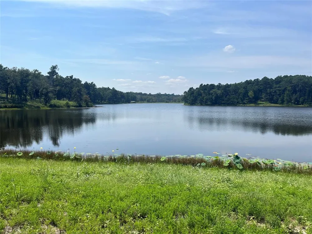 94 10.01 Acre TR 94 Centerville, TX 75833