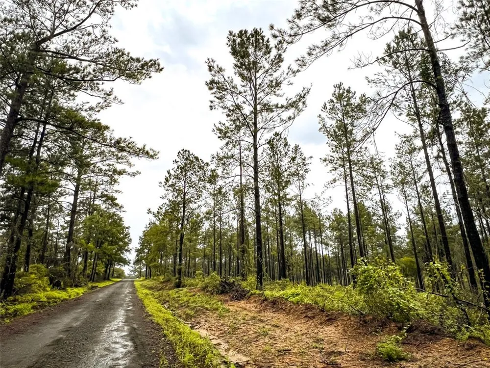 4 CR 257 Jasper, TX 75951