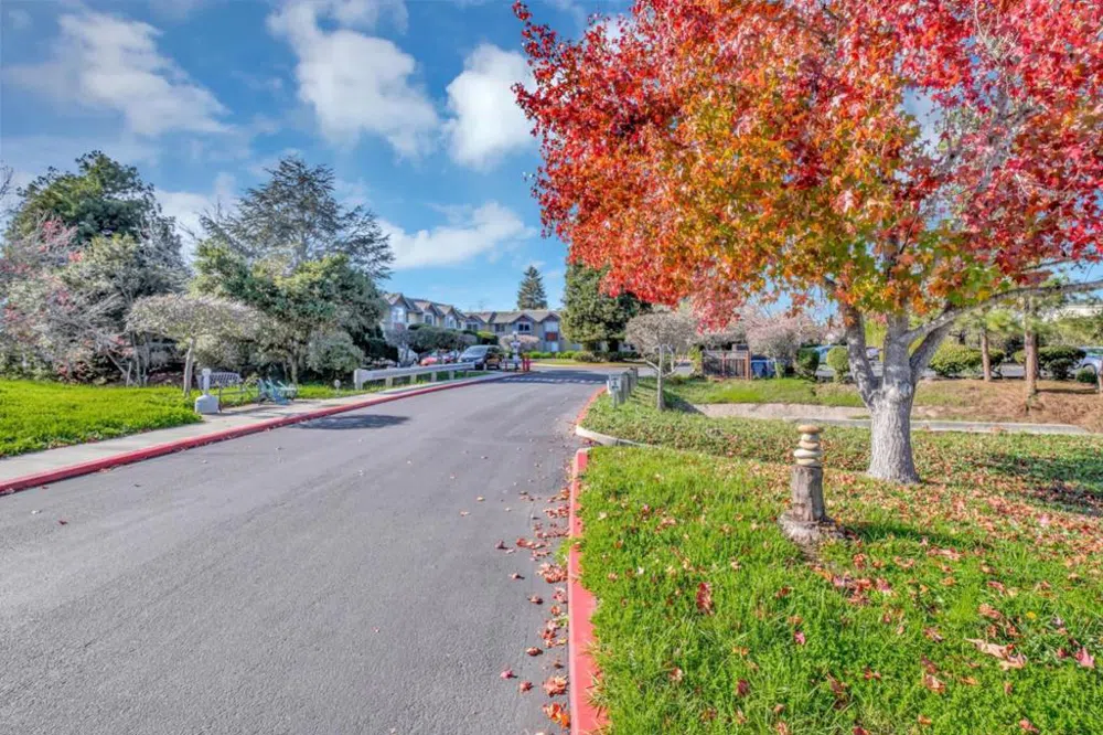 203 Vista Prieta Court Santa Cruz, CA 95062