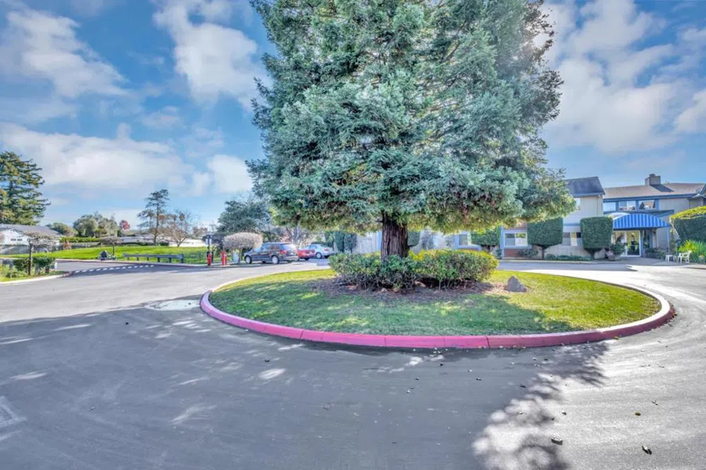 203 Vista Prieta Court Santa Cruz, CA 95062