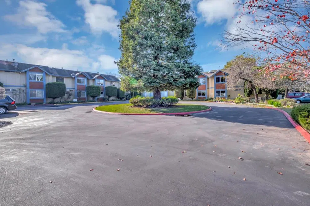 203 Vista Prieta Court Santa Cruz, CA 95062