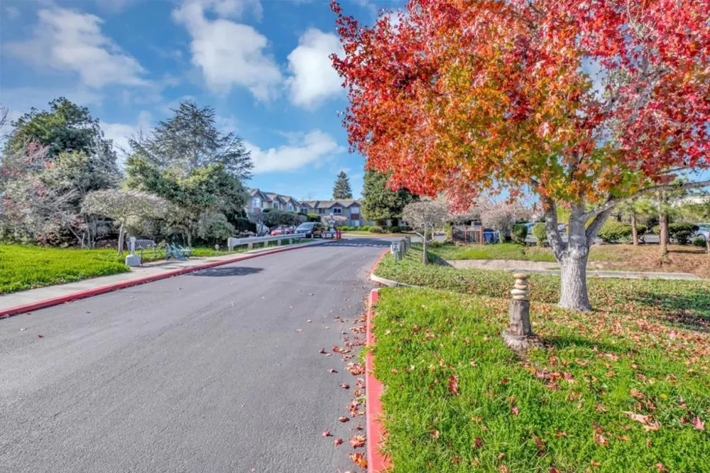 203 Vista Prieta Court Santa Cruz, CA 95062