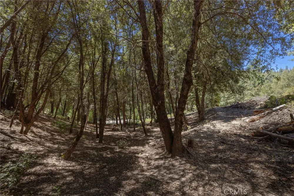 8 Cedar Vista Circle Bass Lake, CA 93604