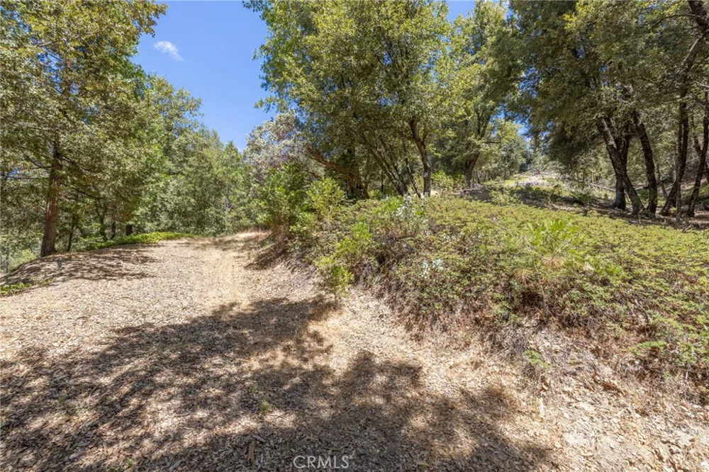 8 Cedar Vista Circle Bass Lake, CA 93604