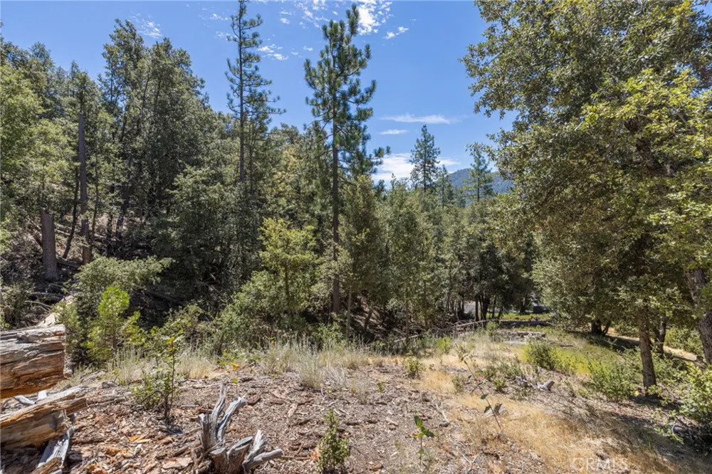 8 Cedar Vista Circle Bass Lake, CA 93604
