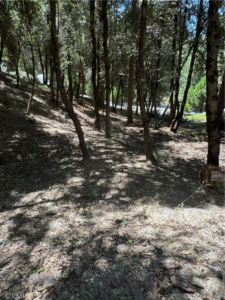 8 Cedar Vista Circle Bass Lake, CA 93604