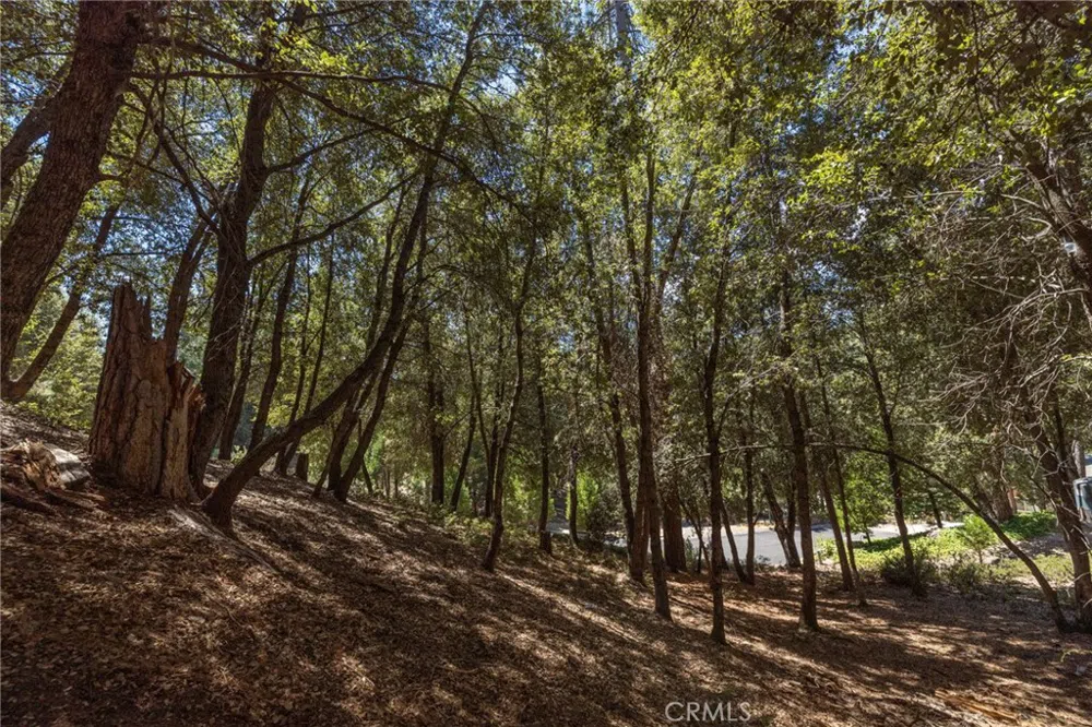 8 Cedar Vista Circle Bass Lake, CA 93604