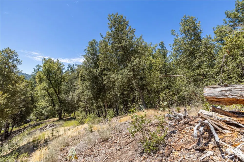 8 Cedar Vista Circle Bass Lake, CA 93604