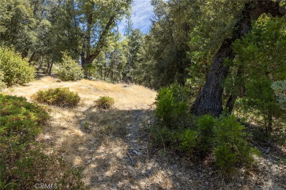 8 Cedar Vista Circle Bass Lake, CA 93604