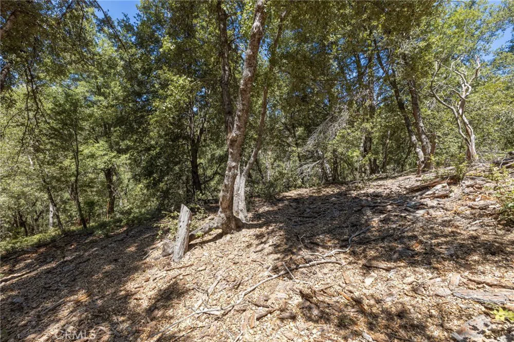 8 Cedar Vista Circle Bass Lake, CA 93604