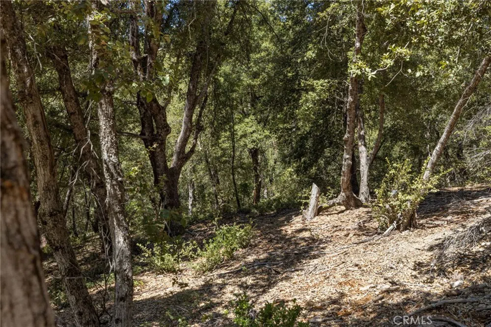 8 Cedar Vista Circle Bass Lake, CA 93604