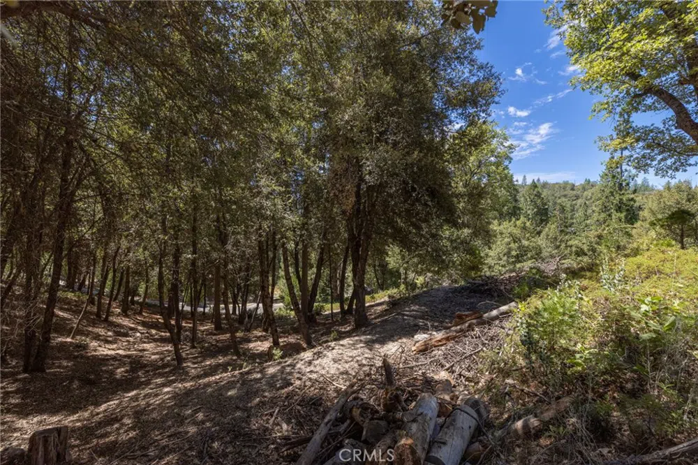 8 Cedar Vista Circle Bass Lake, CA 93604