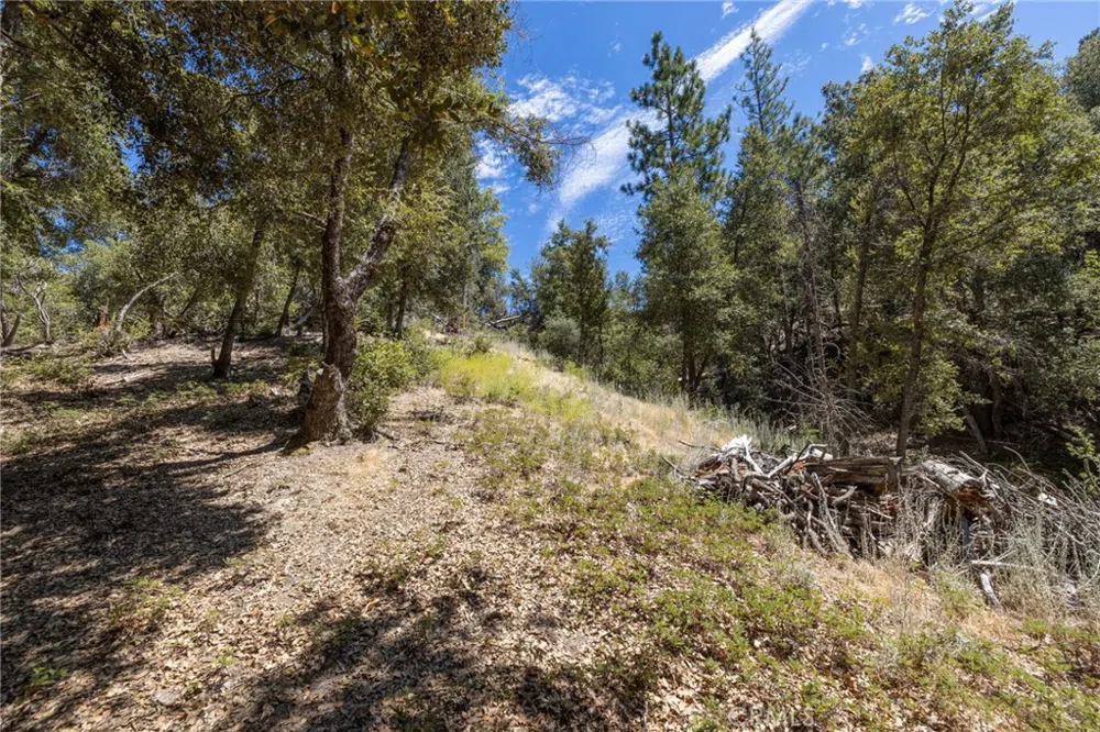 8 Cedar Vista Circle Bass Lake, CA 93604