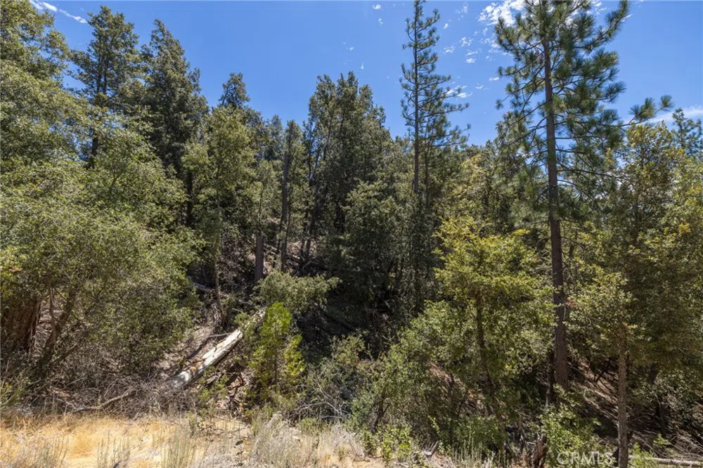 8 Cedar Vista Circle Bass Lake, CA 93604