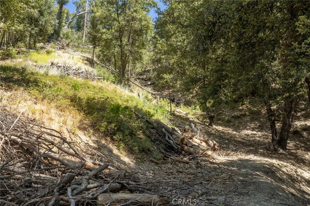 8 Cedar Vista Circle Bass Lake, CA 93604