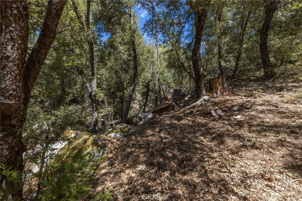 8 Cedar Vista Circle Bass Lake, CA 93604